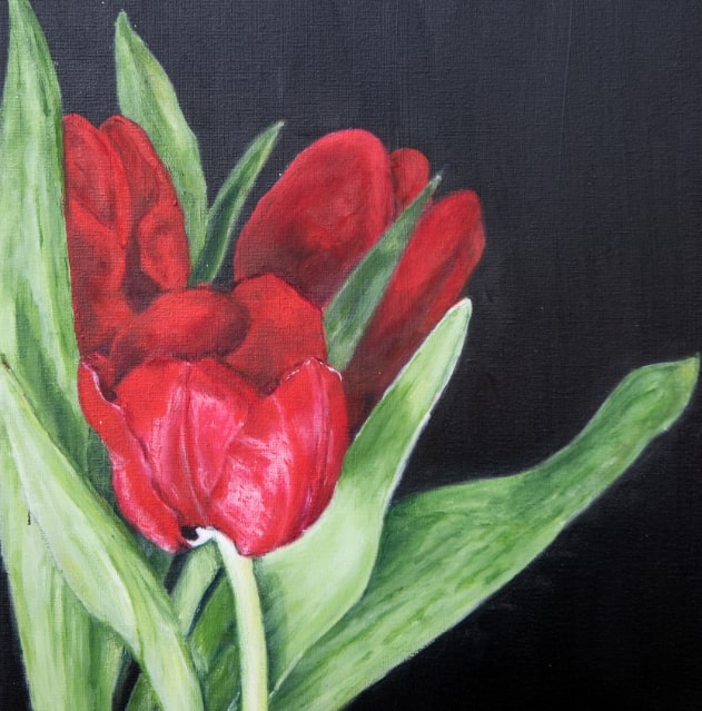 Flower study: tulip